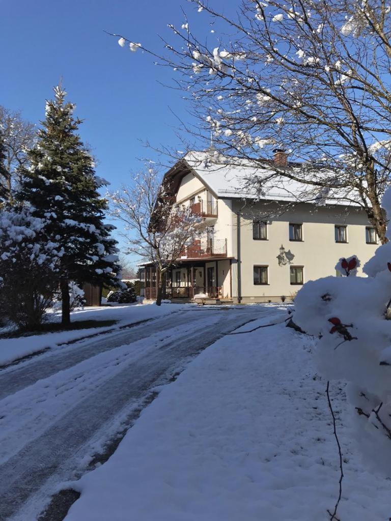 Pension Sommerauer Халляйн Экстерьер фото
